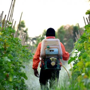 Biopesticides Market Insights