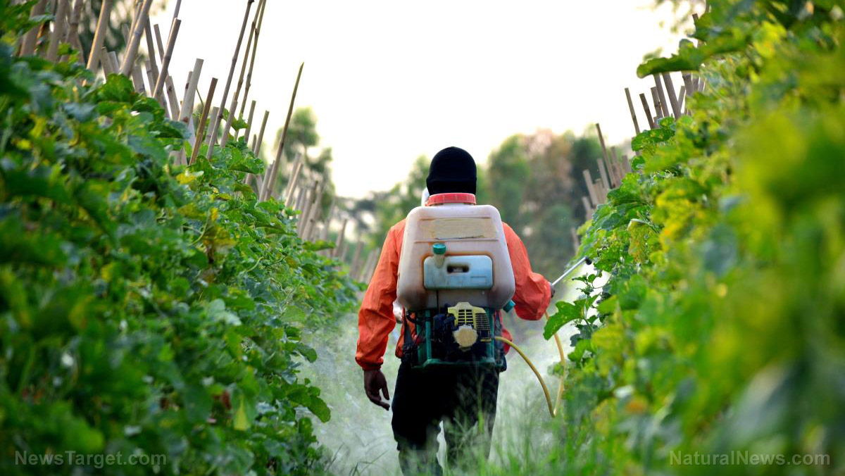 Biopesticides Market Insights