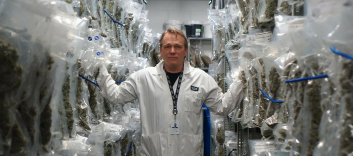 Bruce Linton Cannabis