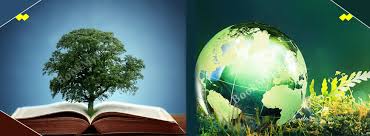 Environmental Research Papers