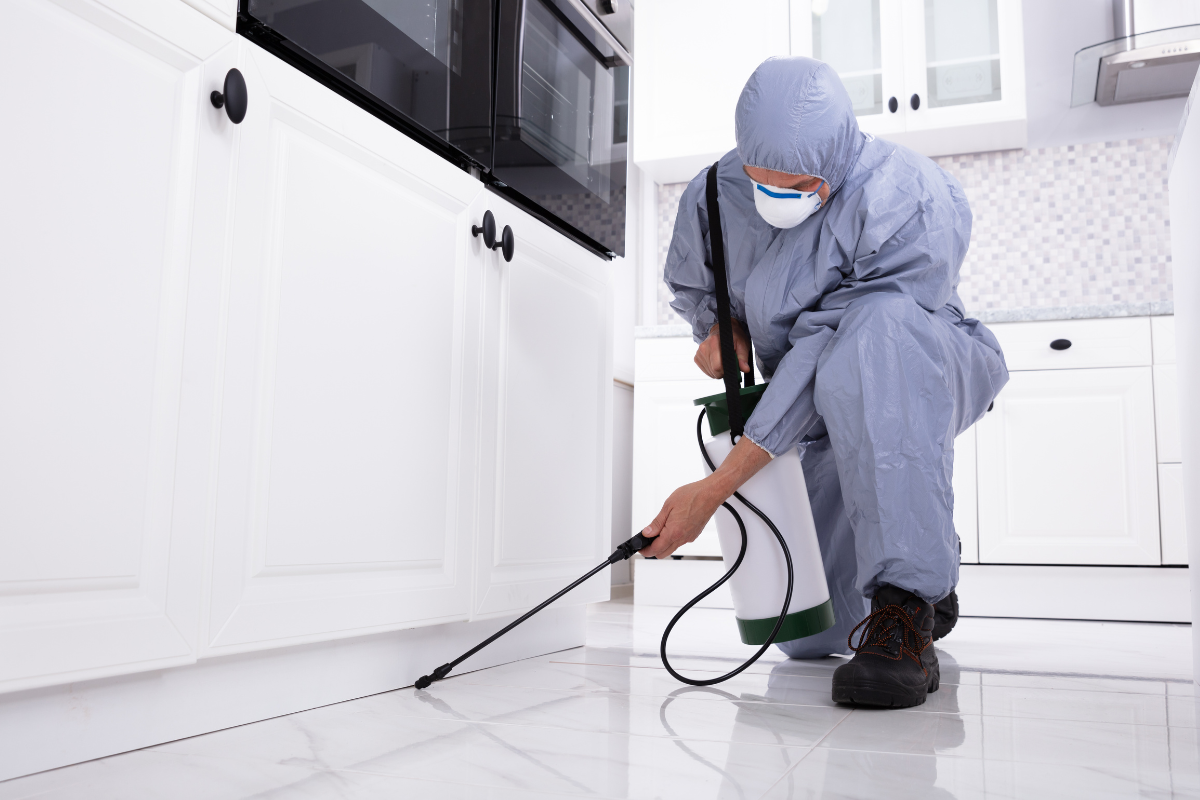 pest control services